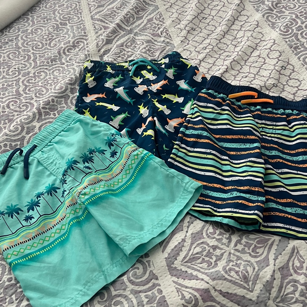 Aqua and Multicolor Striped swim trunks